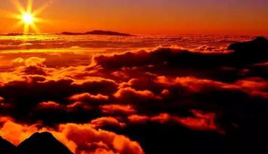 “旭”日東升 團(tuán)膳“黑馬” 馳騁未來